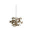 TR747 1 - Light Pendant