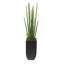 Faux Snake Grass Plant in Metal Planter