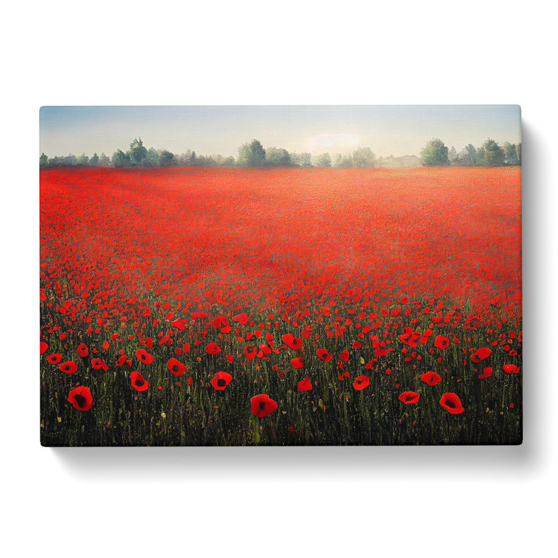 Precious Poppy Field Flowers - Wrapped Canvas Print, 35cm H x 50cm W x 3cm D