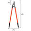 Loppers de plantation professionnelle et d’arbre paysage-47864741