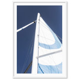 Blue Sail Print by Carly Tabak