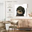 Bramly Molly le chien