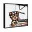 «Fashion Book Yorkie Glam Custom», impression-66971885-66971884
