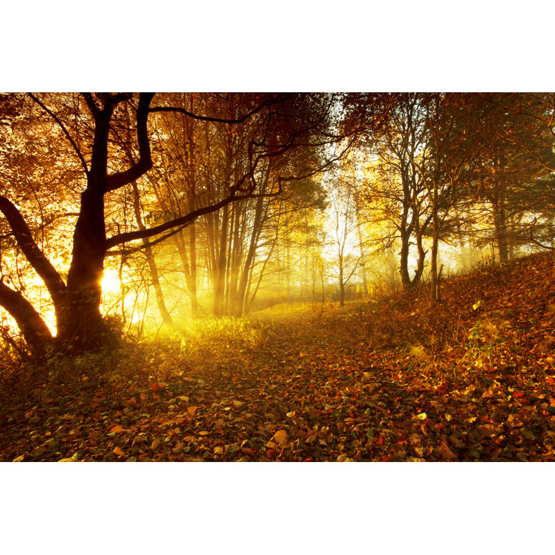 Morning Light - Wrapped Canvas Print, 20cm H x 30cm W x 3.8cm D
