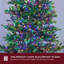 LED Indoor / Outdoor String Lights-1408906404-1408906585