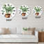 Ficus benjamina dans un pot de fleurs en argile - horloge murale traditionnelle-60327732
