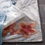 Tapis à fleurs Souder Performance-274364910