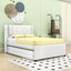 Lit plateforme double tapissier avec lit gigogne multifonctionnel-1942639797