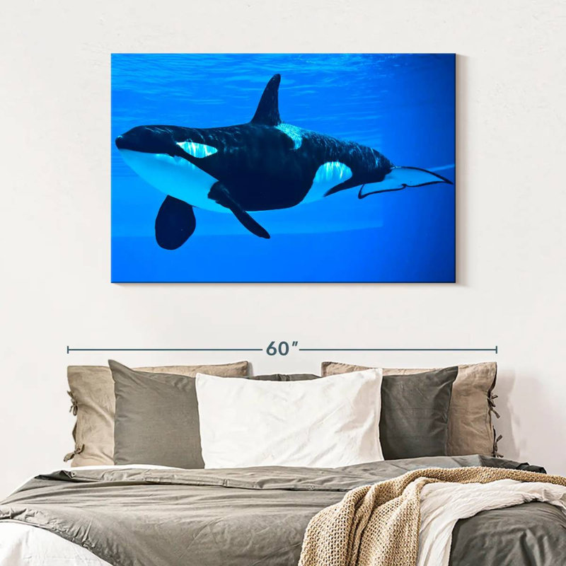 Brampt Friendly Killer Whale, 32" H x 48" W