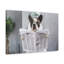 No Frame Print on Canvas-1239654884