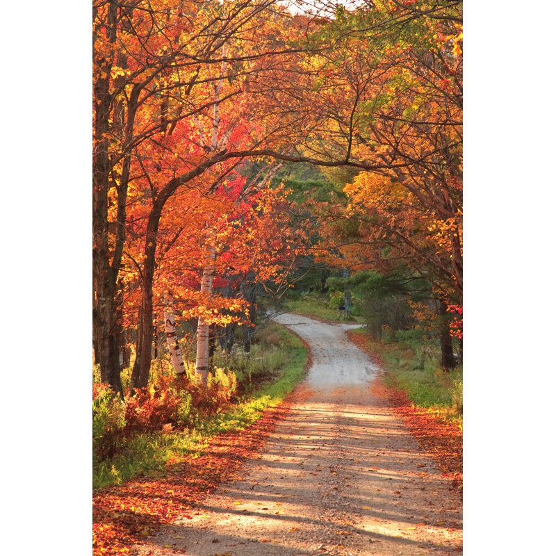 Countryside Road - Photographie sur toile tendue, H 18 po x l 12 po