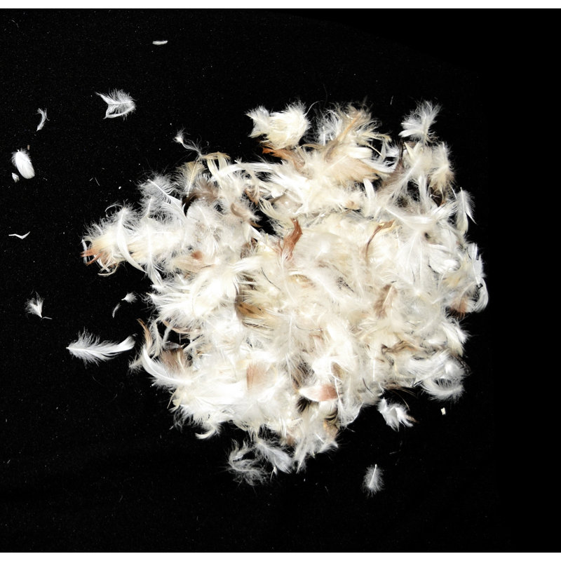 Reversible Pillow Insert, 16" x 16", 50% Down and 50% feather mix