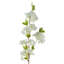 Plastic, Silk Artificial Arrangement
