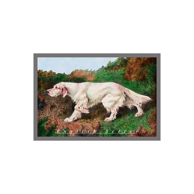 « english setter » typique, reproduction d’art encadrée, H 28 po x l 42 po x P 1,5 po