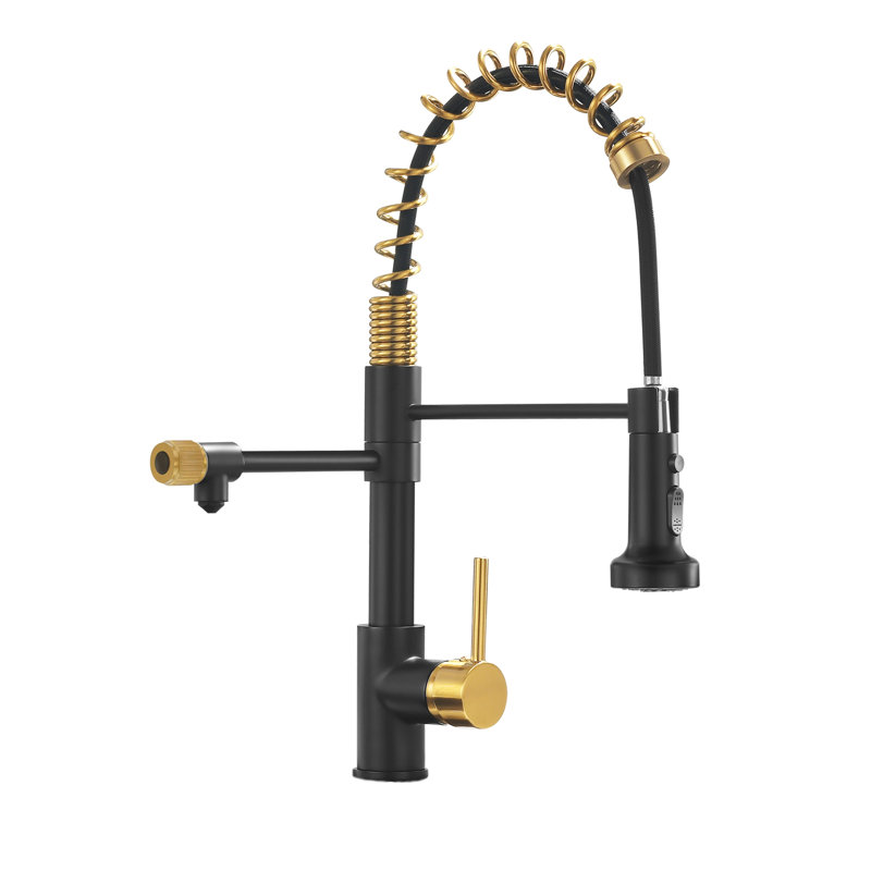 Robinet de cuisine à un trou à poignée simple avec bec verseur d'eau purifiée Topcraft, Or / noir mat