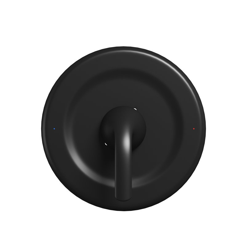 Casainc remplacement pour garniture Moen, Noir mat
