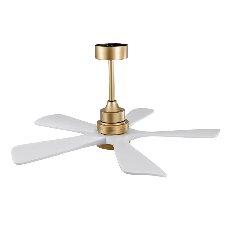 Ventilateur de plafond intérieur chaud 42 pouces avec lumière DEL à intensité variable, 5 pales en bois massif, télécommande, moteur à courant continu