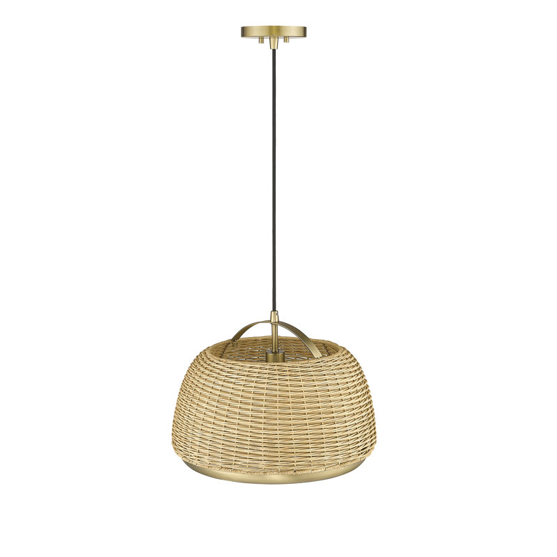 Luminaire suspendu unique et spectaculaire en bronze à 1 lumière Andrico