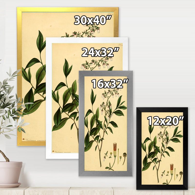 «Vintage Plant Life V», peinture sur toile, Cadre photo noir, H 20 po x l 12 po x P 1po