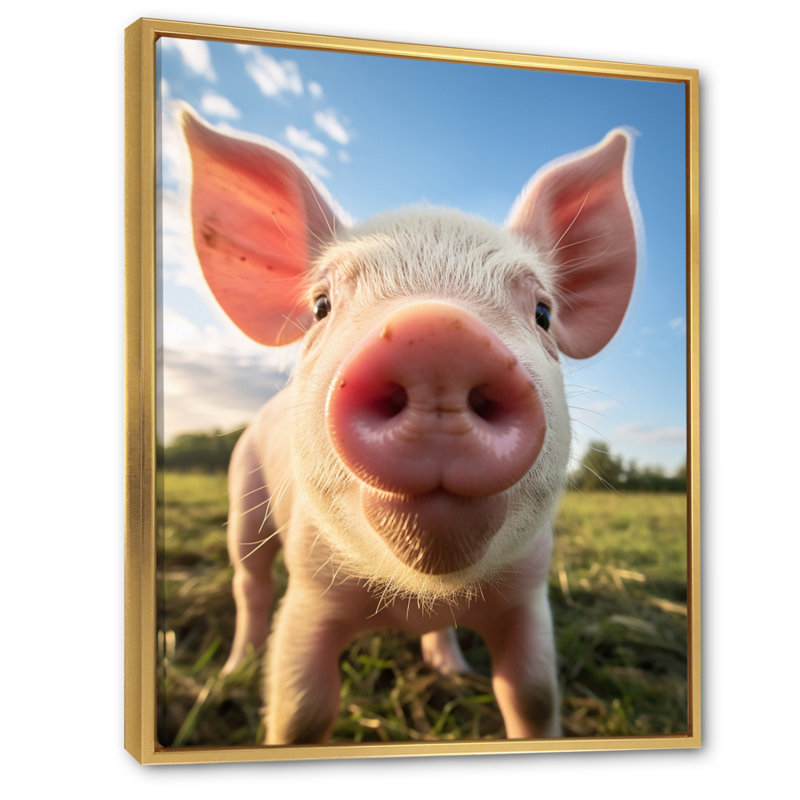 «Pink Pig Curious Snout Pig», reproduction sur toile, Cadre flottant doré, H 32 po x l 24 po x P 1 po