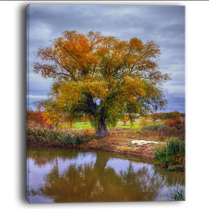 Willow Near Pond - Reproduction de photo sur toile tendue, H 40 po x l 30 po x P 1 po