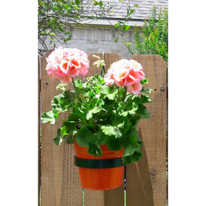 Ensemble de deux pots à fleurs en acier émaillé avec support en fer Lundberg.