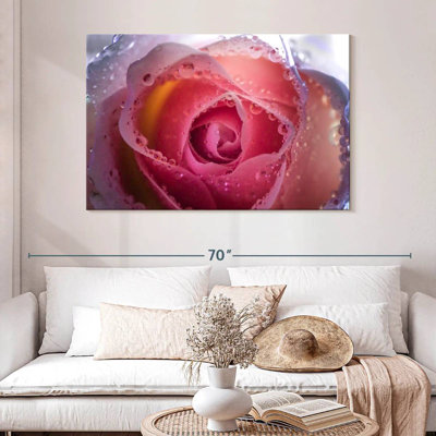 Rose brumeux Harnek