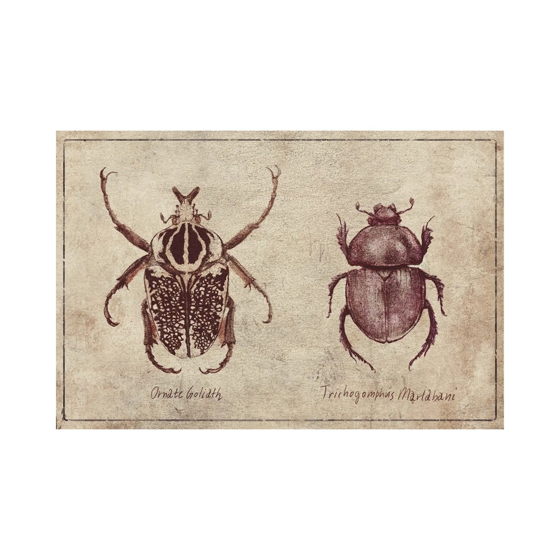 Ornate Goliath- Trichogomphus Martabani 2 1 Piece Wrapped Canvas Wall Art, 101.6 cm H x 66.04 cm W x 3.175 cm D