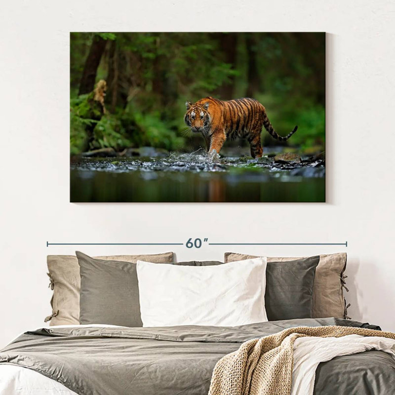 Brampt Tiger In The River, 34" H x 51" W