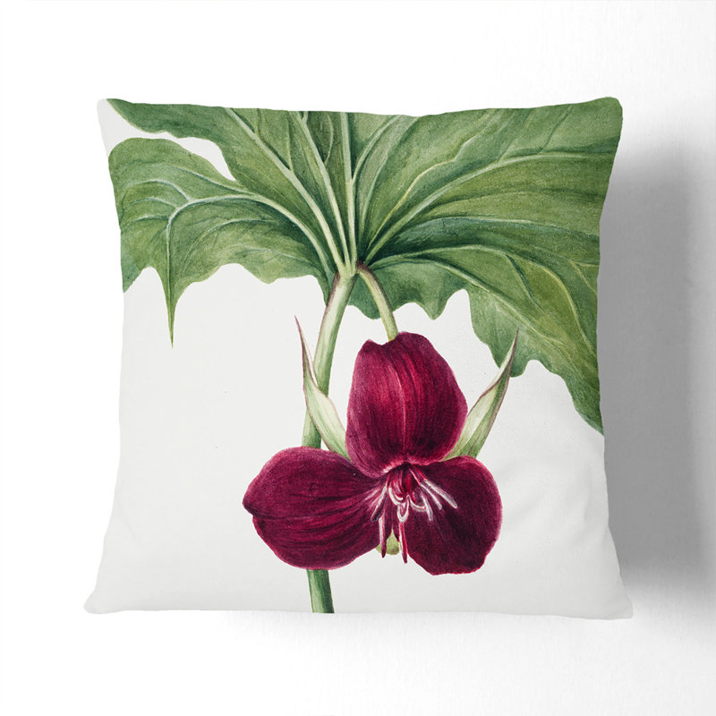 Square Cushion, 40cm H x 40cm W x 15cm D, Black