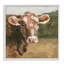 Soft Country Meadow Cow-1299785326-1296596782