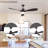 Alisan Ceiling Fan with LED Lights-1457592602