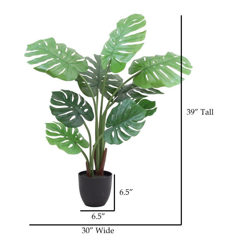 Pot à fleurs 39 po Monstera