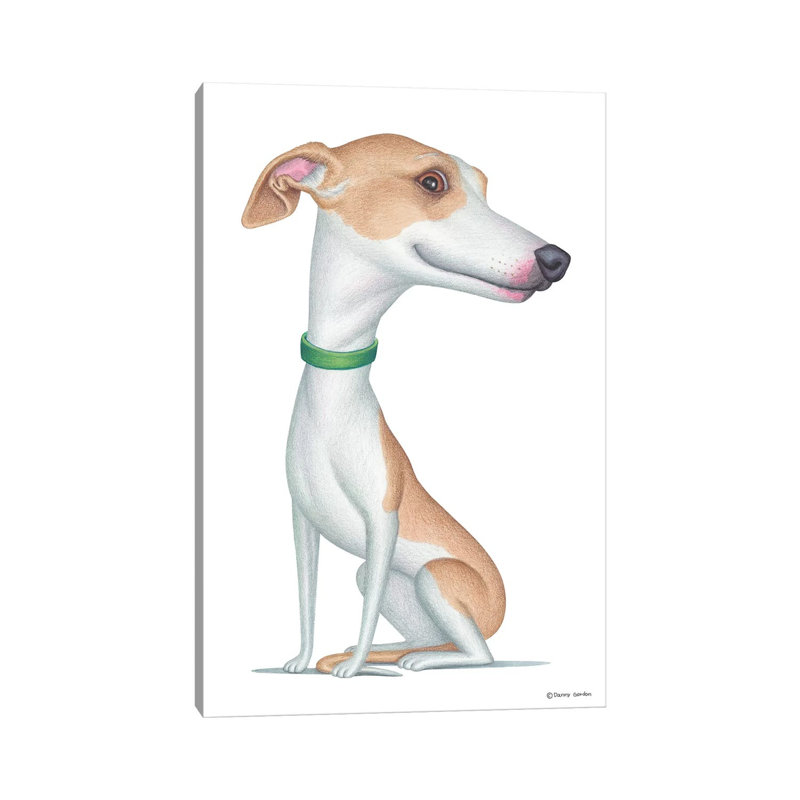 Whippet, H 40 po x l 26 po x P 1,5 po