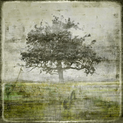 Early Winter II Print