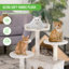 Tour pour arbre à chat Derrell-586387005-557840563