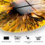 Boze Accent on Tempered Glass
