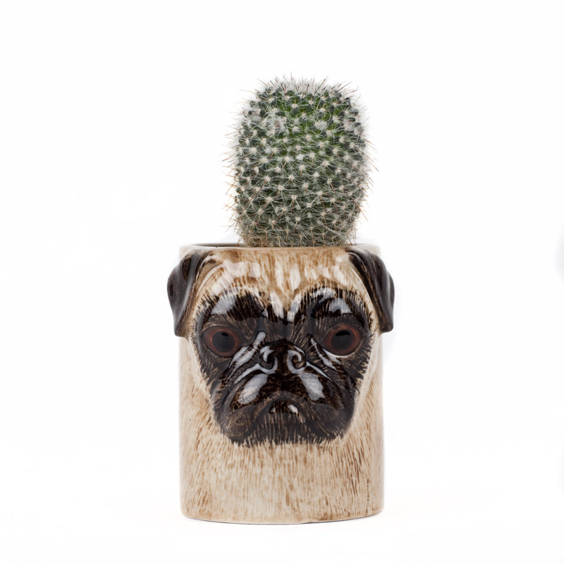Pencil Pot - Dog - Pug Fawn