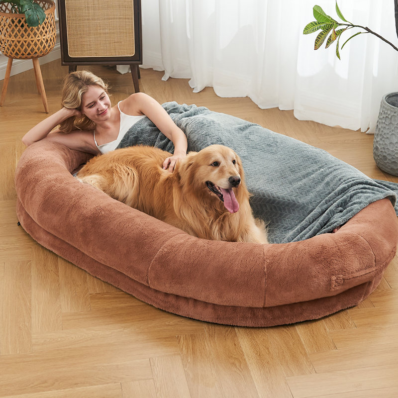 Lit pour animal de compagnie avec lit lavable et mousse orthopédique, Brun