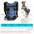 Erdah Collapsible and Foldable Pet Carrier