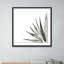 Agave I Print by Jess Engle-48615483-48615485