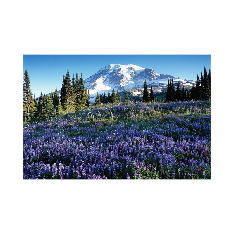 Snow-Covered Mount Rainier With A Wildflower Field In The Foreground, Mount Rainier National Park, Washington, USA by Jamie & Judy Wild - Wrapped Canvas Print
