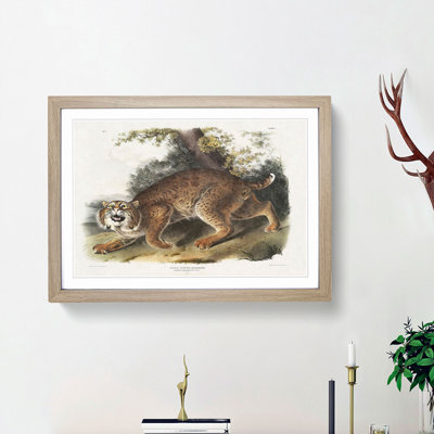 American Wildcat 1 Piece Single Picture Frame Painting