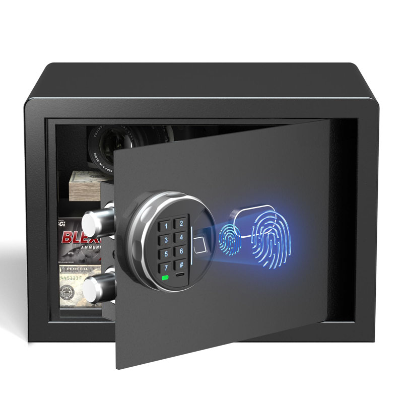 Compact Black Biometric Safe with LED Light and Backlit Keypad