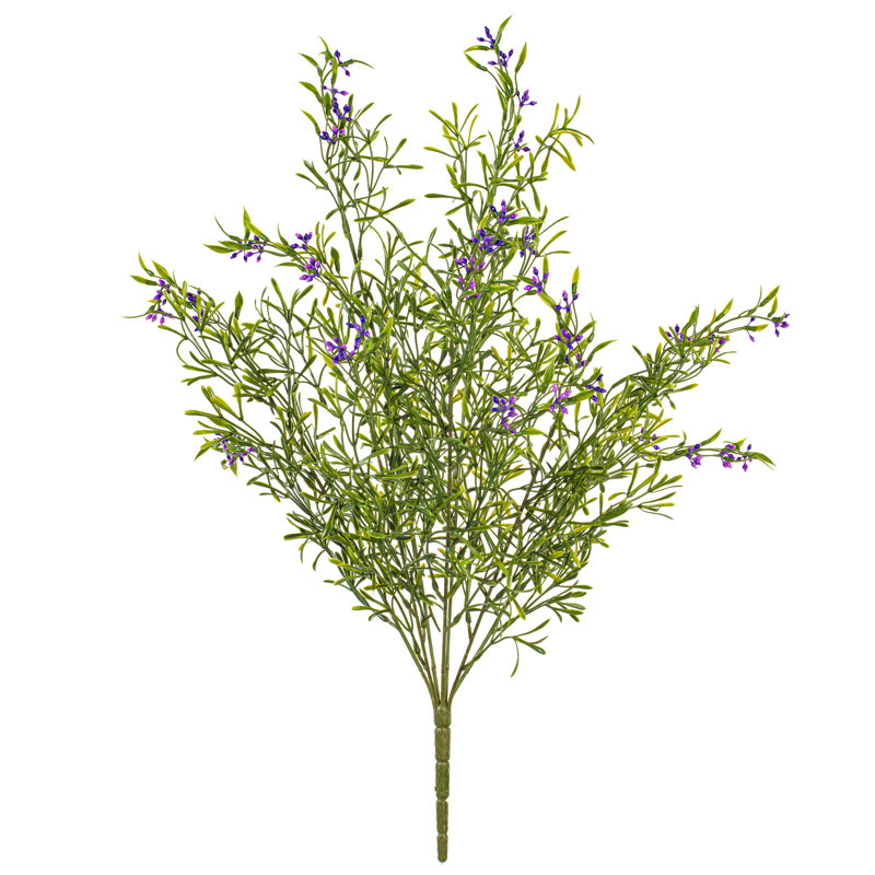 Buisson