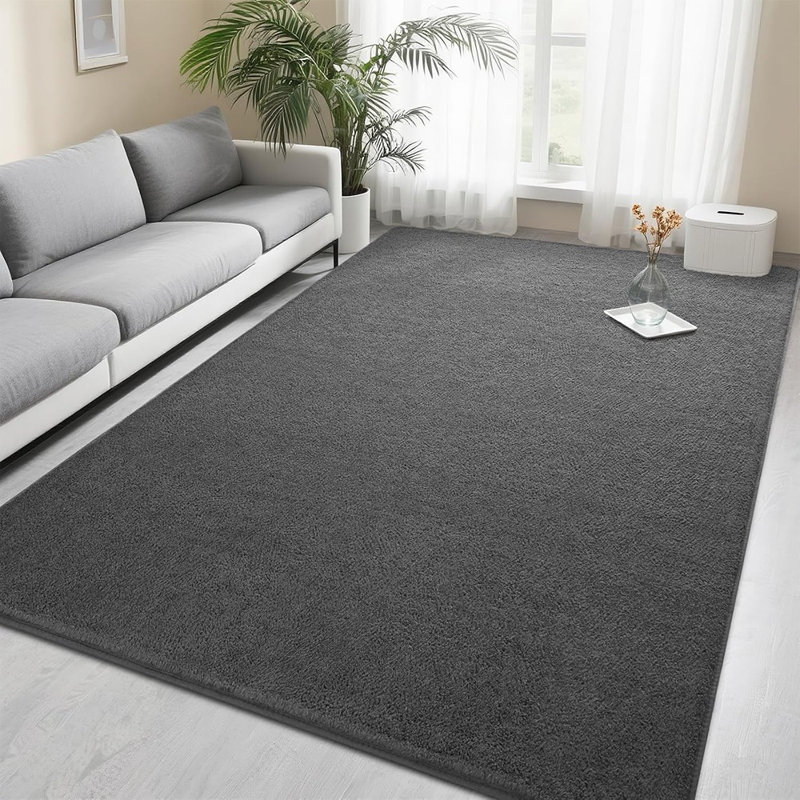 Area Rugs For Bedroom Living Room, Dark Grey Soft Thickened Memory Foam Carpet, Non-Slip Washable Indoor Modern Minimalist Shaggy Rug For Boys Girls Dorm Home Decor