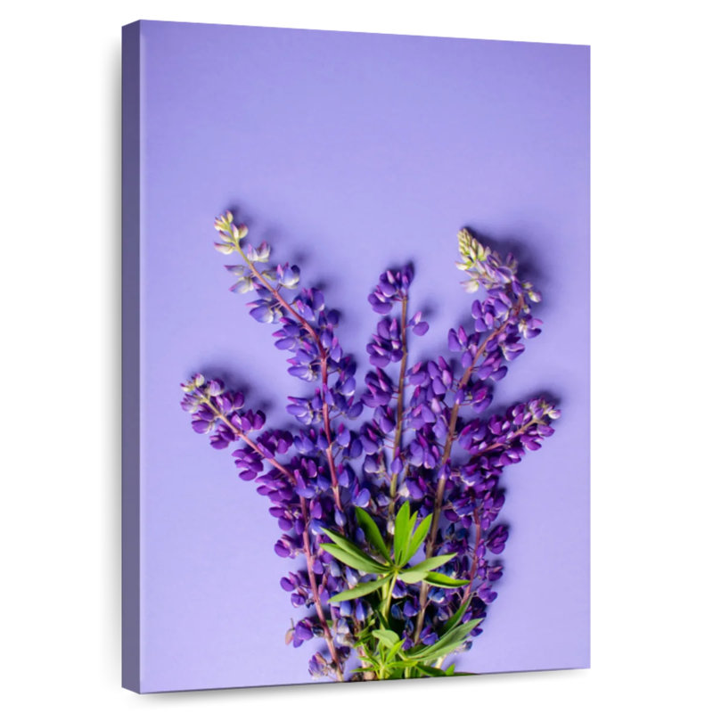 Lupine On Lilac