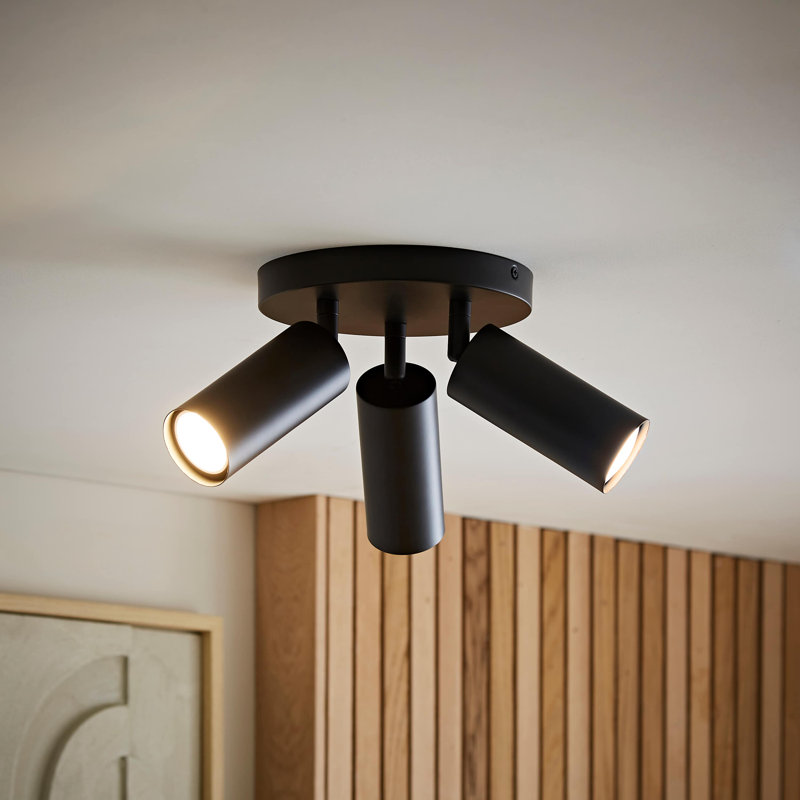 Taylor Matte  Tube Way Adjustable Ceiling Spotlight and Bulbs, Black, 3