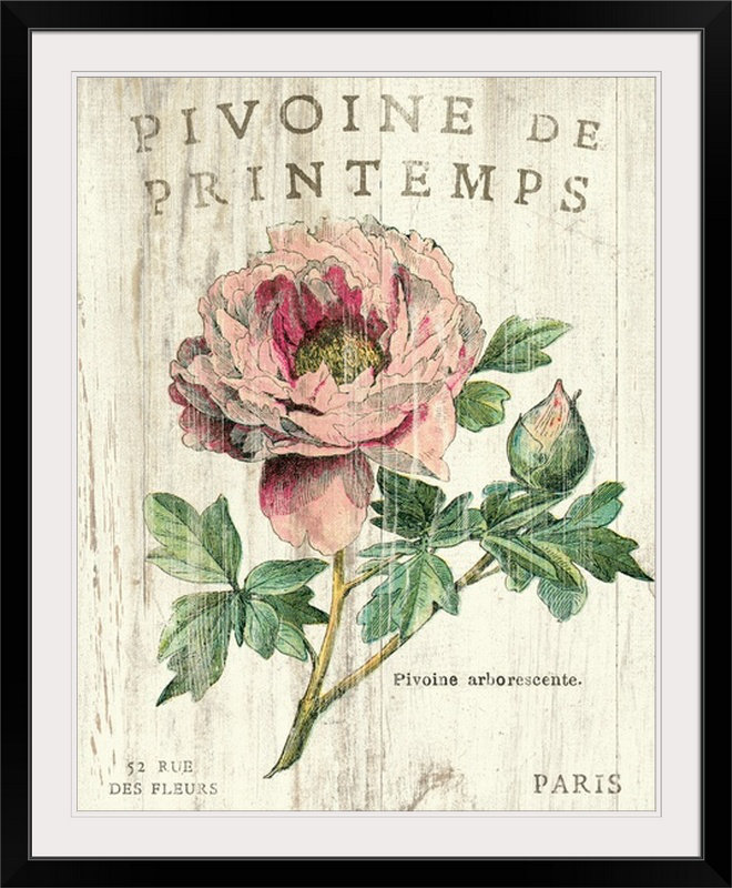 «Pivoine de Printemps», impression, Cadre noir, H 38 po x l 32 po x P 1 po