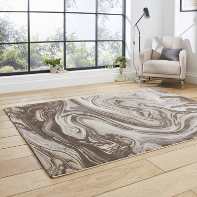 Sarnia area rug Machine Woven Rectangle Beige/Silver